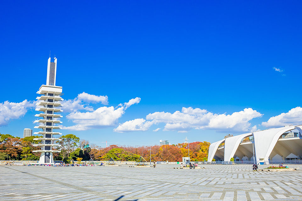 世田谷区にある駒沢オリンピック公園中央広場画像