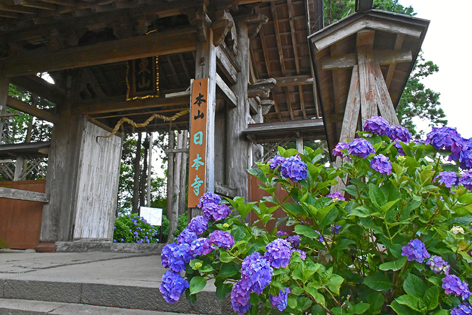 多古町にある正東山日本寺の画像